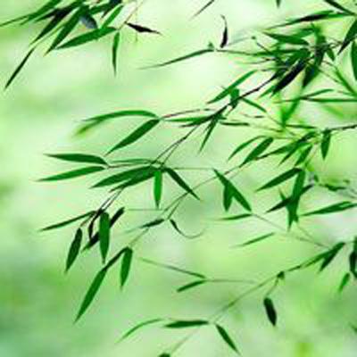 魔幻客线内购破解版下载