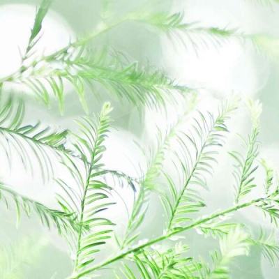fps突击队秘密任务免费射击小游戏下载